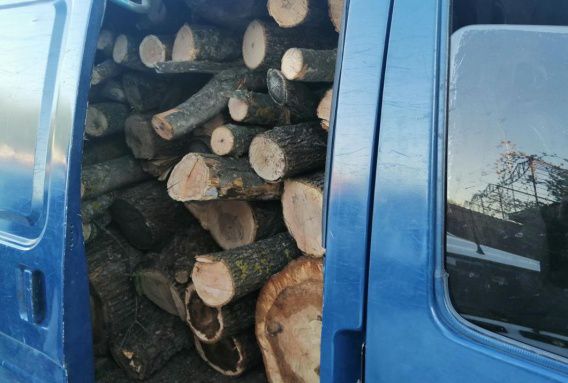 На Николаевщине у нарушителя ПДД обнаружился полный кузов дров