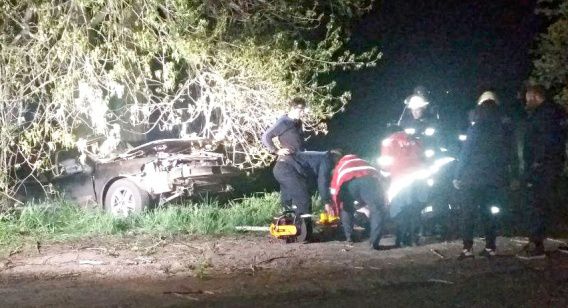 Компания на «Рено» врезалась в дерево: двое молодых ребят попали в больницу