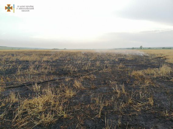 В Николаевской области подожгли пшеничное поле