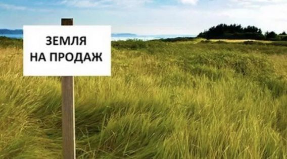 С момента запуска рынка земли на Николаевщине продали 6 гектаров