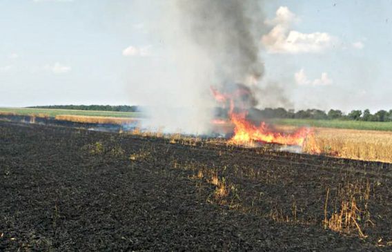 На Николаевщине поджигают поля: за сутки сгорело 12,5 га пшеницы