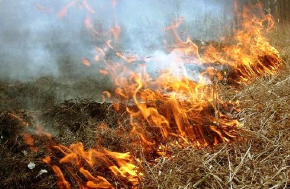В Николаевской области неизвестные устроили два поджога