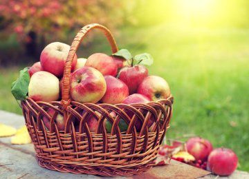 Сегодня яблочный Спас-2021: традиции, обряды, приметы и обычаи