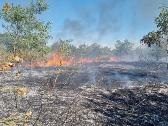 По всей Николаевской области начались пожары