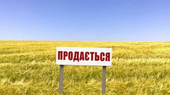 В Николаевской области продали 640 гектаров земель