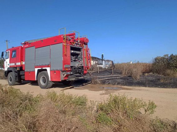 В Николаевской области у моря тушили два пожара