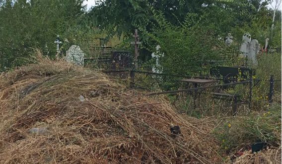 Кладбище в Николаеве утопает в амброзии и мусоре (фото, видео)