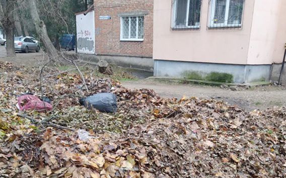 Первый список адресов, по которым в Николаеве разрешено устраивать свалки опавших листьев