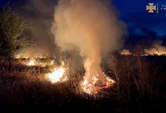 За сутки из-за поджогов и людской беспечности на Николаевщине сгорело 19 гектаров сухостоя