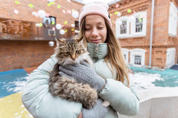 Официальная часть экосистемы города: как помочь животным пережить холода?