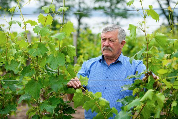 Главный агроном «Радсада» Николай Корниенко рассказал, в чем сила его знаменитого предприятия