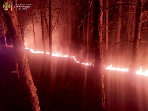 В полночь под Николаевом неизвестные пытались устроить масштабный поджог леса