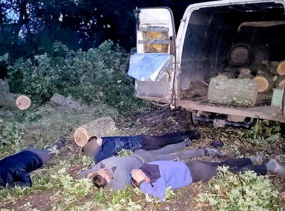 На Николаевщине задержали банду браконьеров-лесорубов