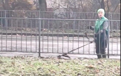 В Николаеве продолжают косить опавшую листву: теперь уже в дождь (видео)