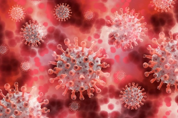 Новый штамм коронавируса «Омикрон» развился у пациента с ВИЧ и в несколько раз заразнее «Дельты»