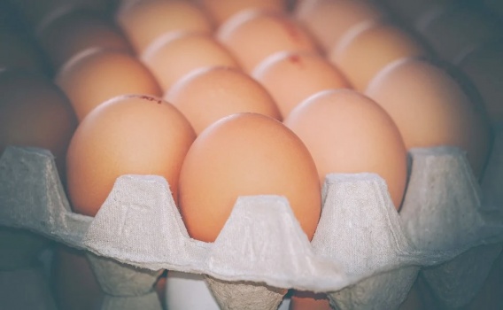 Саудовская аравия и ОАЭ скупили половину экспорта украинских яиц
