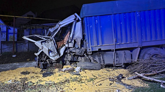 В Николаеве ночью разбился водитель грузовика