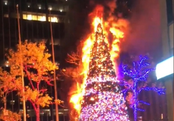Ёлочка, гори! В Нью-Йорке бомж поджег 15-метровую рождественскую ель (видео)