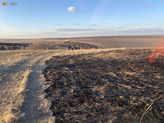 Двое суток в Николаевской области жгут камыш и земли, где обитают бизоны