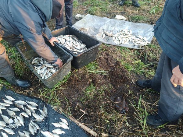 На Николаевщине два браконьера на Южном Буге наловили тараней, карасей, судаков на 2 миллиона гривен