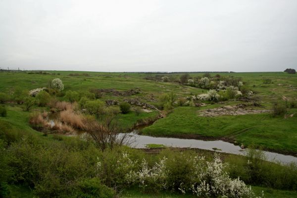 В Николаевской области река Жидивка попала в суд
