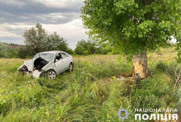 В Николаевской области днем разбился насмерть водитель