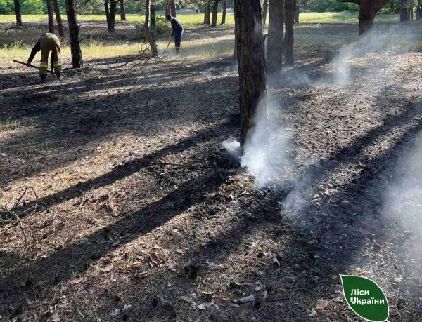 В Николаевской области утром неизвестные подожгли Матвеевский лес, где находиться запрещено