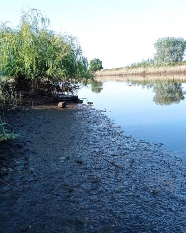 Под угрозой гибели тысячи диких животных и птиц Изумрудной сети в Николаевской области