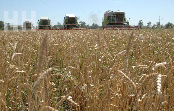 Урожай-2023: аграрии прифронтовой Николаевщины лидируют по темпам уборки зерновых