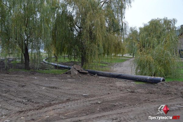 Во время ремонта водопровода в Николаеве хотят выкорчевать четыре тысячи деревьев и кустов