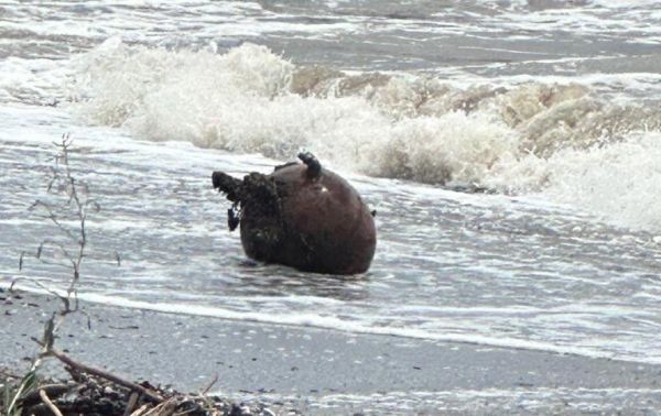 На морском пляже на Николаевщине взорвалась противокорабельная мина