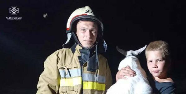 В Николаевской области спасатели вытащили из 4-метрового колодца белую козочку