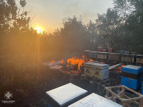 На Николаевщине спасли от огня 50 ульев на пасеке
