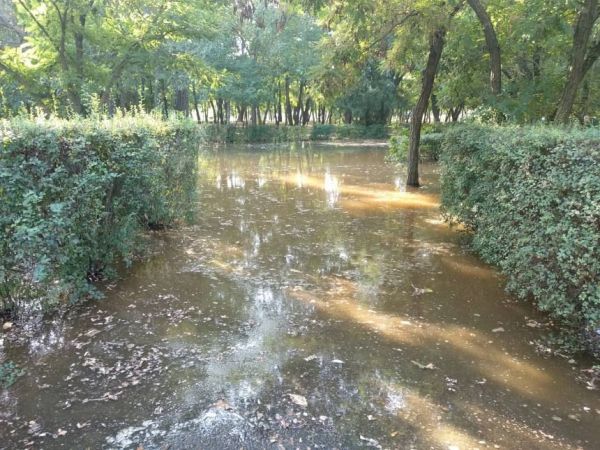 Экологи оперативно проверили воду, которой затопило парк «Лески»: результаты