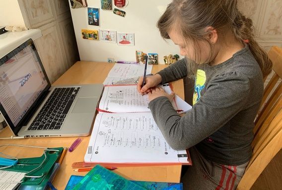 Онлайн или оффлайн: кто определит формат учебного процесса в школах Николаевской области