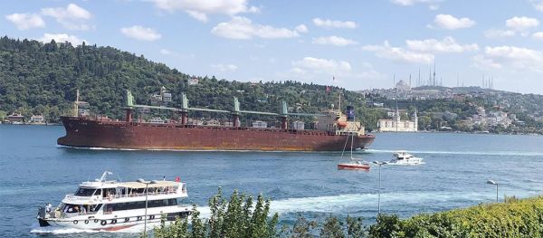 Принять турецкое судно с ворованным украинским зерном отказались две страны