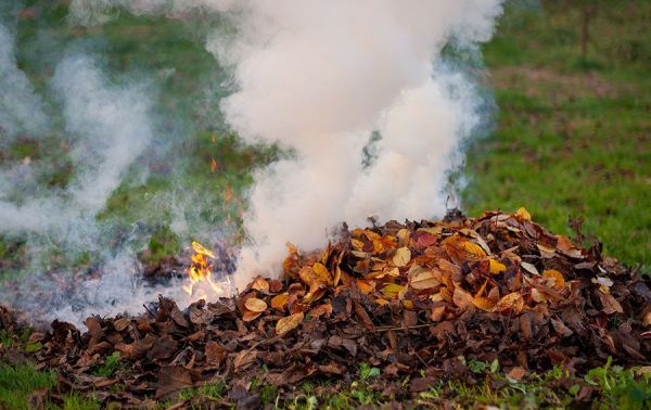 На Николаевщине начали штрафовать граждан за сжигание опавшей листвы