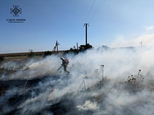 В Николаевской области огонь прошел площадь в 25 гектаров: предполагают поджог
