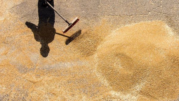 Украина договорилась о частичном о возобновлении поставок зерна через Словакию и Польшу