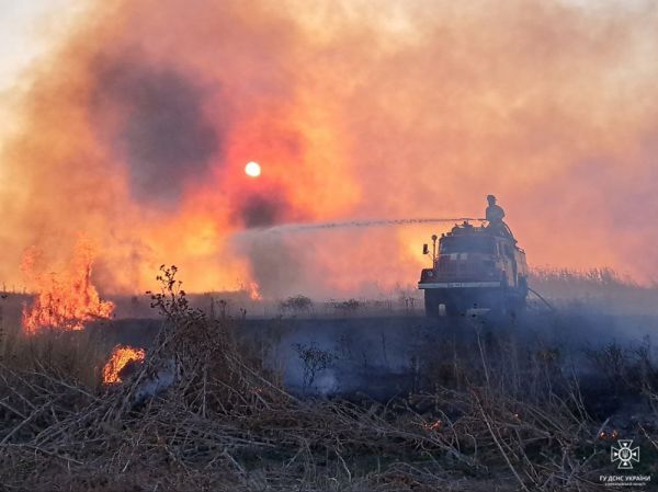 Вчера из-за людской халатности на Николаевщине выгорело 22 га природных экосистем
