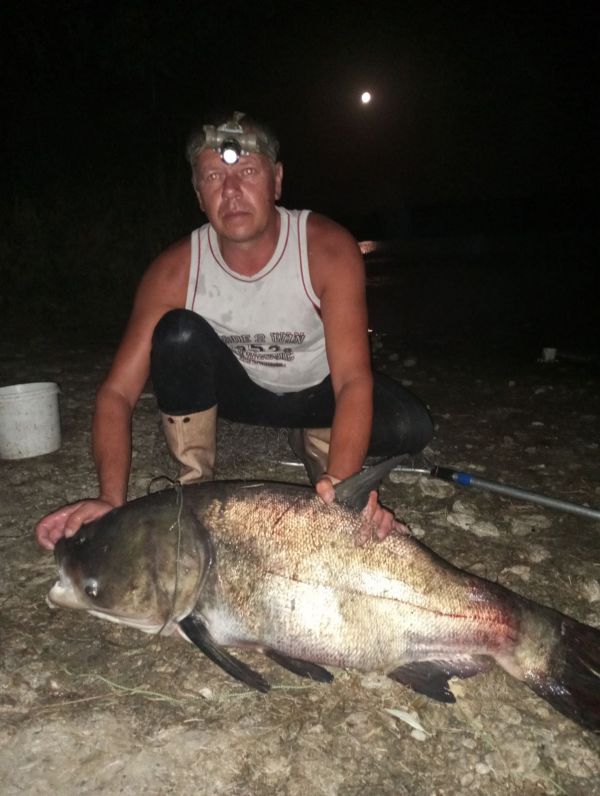 В водоеме Николаевской области поймали гигантскую рыбину