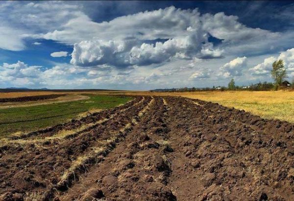 Прокуратура требует изъять у россиян земельные участки, которые находятся в Коблевской и Березанской общинах