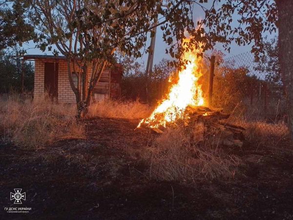 На дачах в Николаевской области спасли от пожара три дома