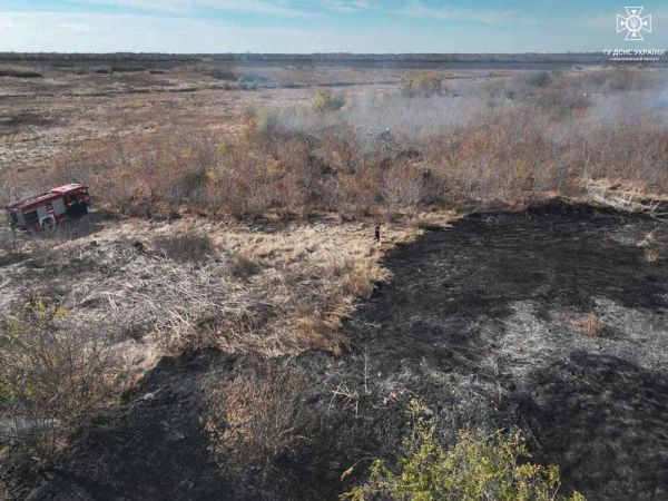 В воскресенье в Николаевской области горел сухостой на площади 12 гектаров