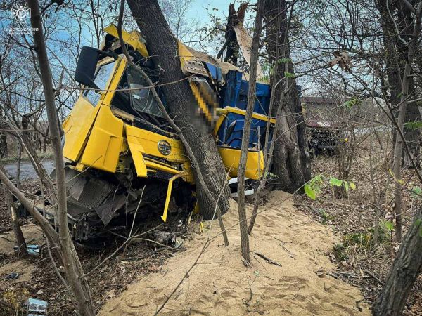 В Николаевской области погиб водитель грузового автомобиля