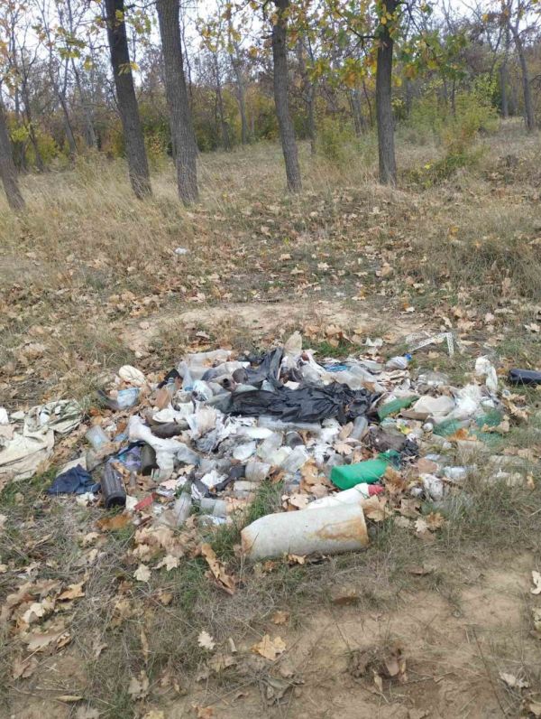 Чтобы коммунальщики убрали свалку в парке «Дружба», пришлось писать письмо Николаевскому мэру