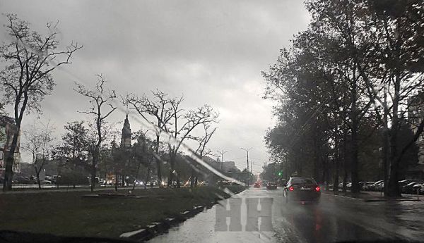 В Николаеве непогода повалила 10 деревьев: некоторые оборвали провода