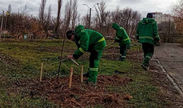 "Леса Украины" передали бесплатно городу Николаеву молодые липы