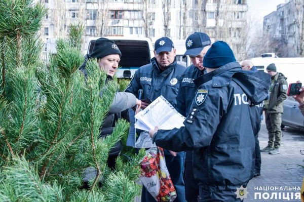 В Николаевской области полиция арестовала три десятка новогодних елок
