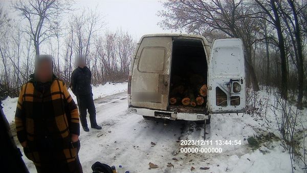 В Николаевской области в Трибудах спилили один ясень за 16200 гривен
